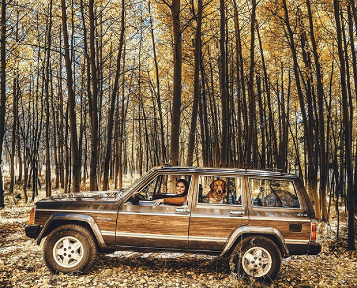 travelling-dog-aspen-hunter-lawrence-13