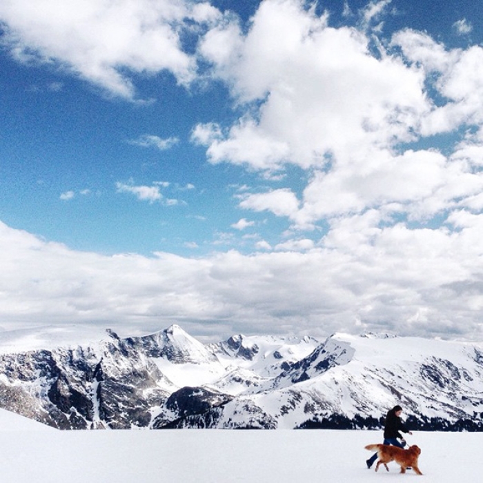 travelling-dog-aspen-hunter-lawrence-15