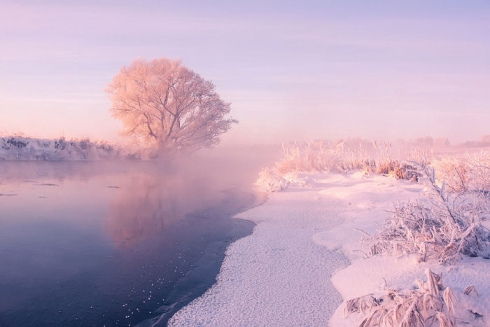 rosy-magenta-dawn-morning-photography-alex-ugalnikov-4