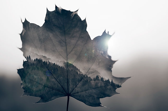 inspiring-best-multiple-exposure-photos-alessandro-dallafina-500px-3