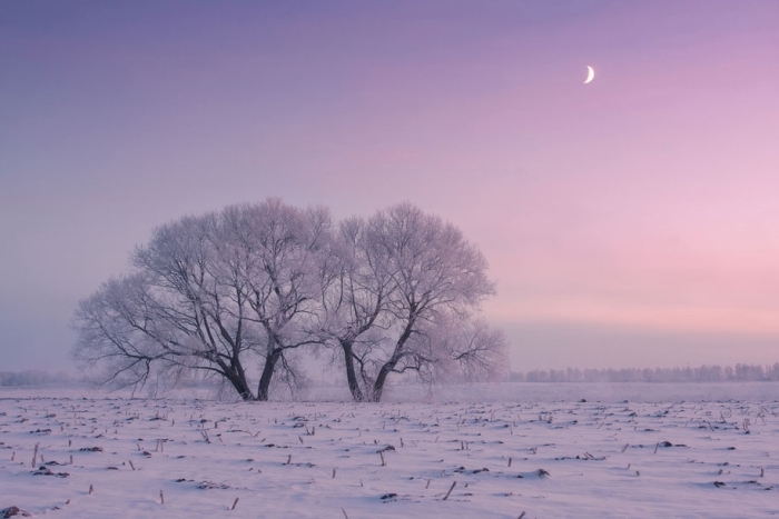 rosy-magenta-dawn-morning-photography-alex-ugalnikov-2