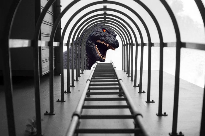 nikon-award-fail-plane-photoshop-chay-yu-wei-6