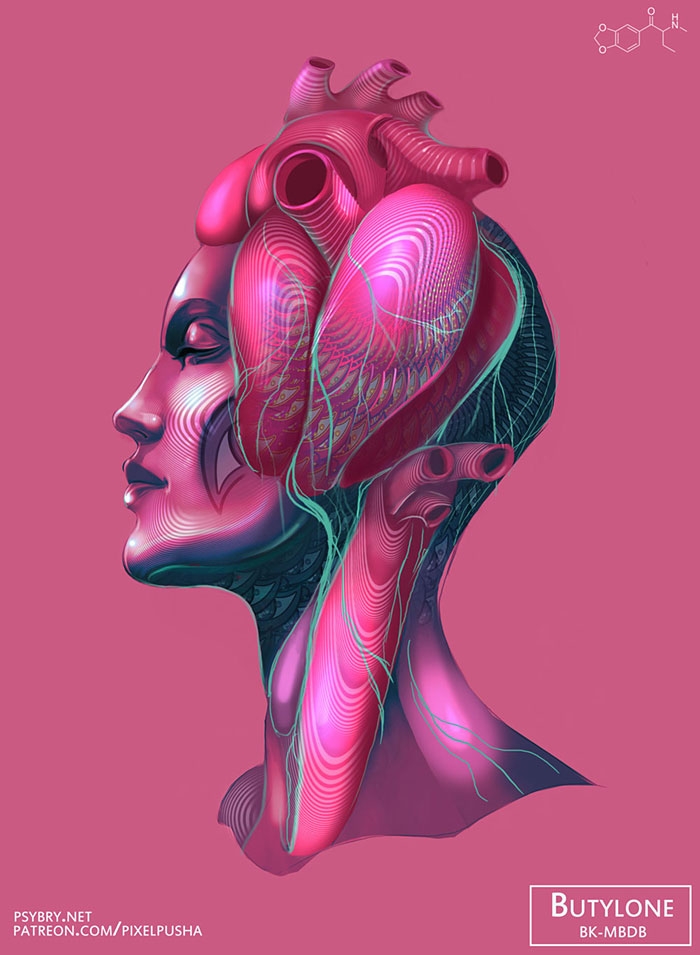 different-drugs-affect-art-drawing-illustrations-brian-pollett-40