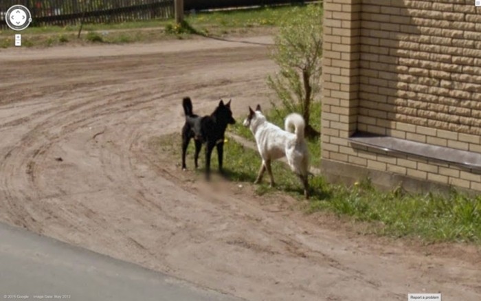 guy-travels-world-in-google-street-view-26