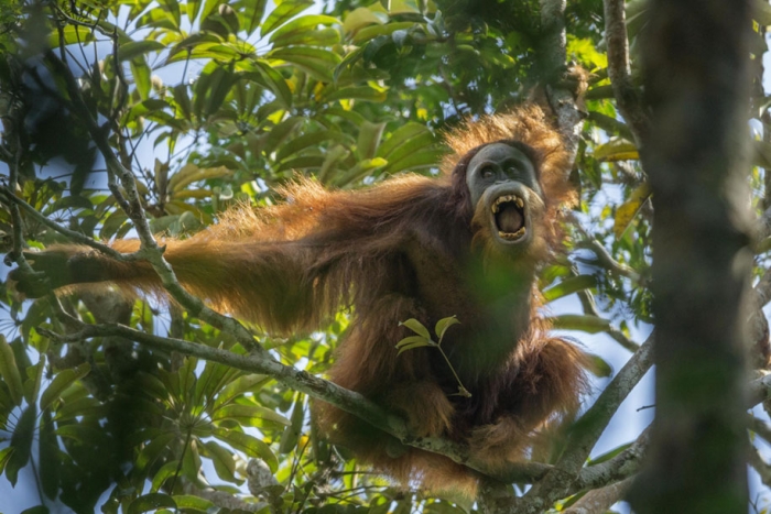 best-photography-year-2015-world-press-photo-contest-8