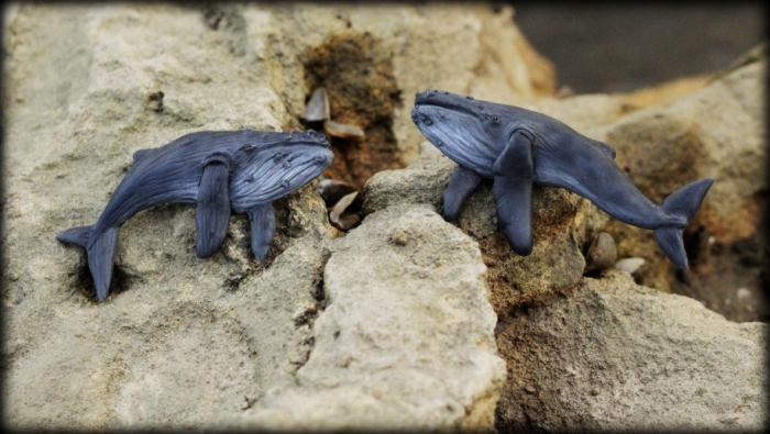 Gray whales.
