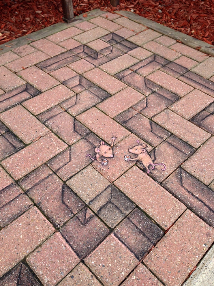 adorable-chalk-drawn-creatures-sidewalk-david-zinn-14