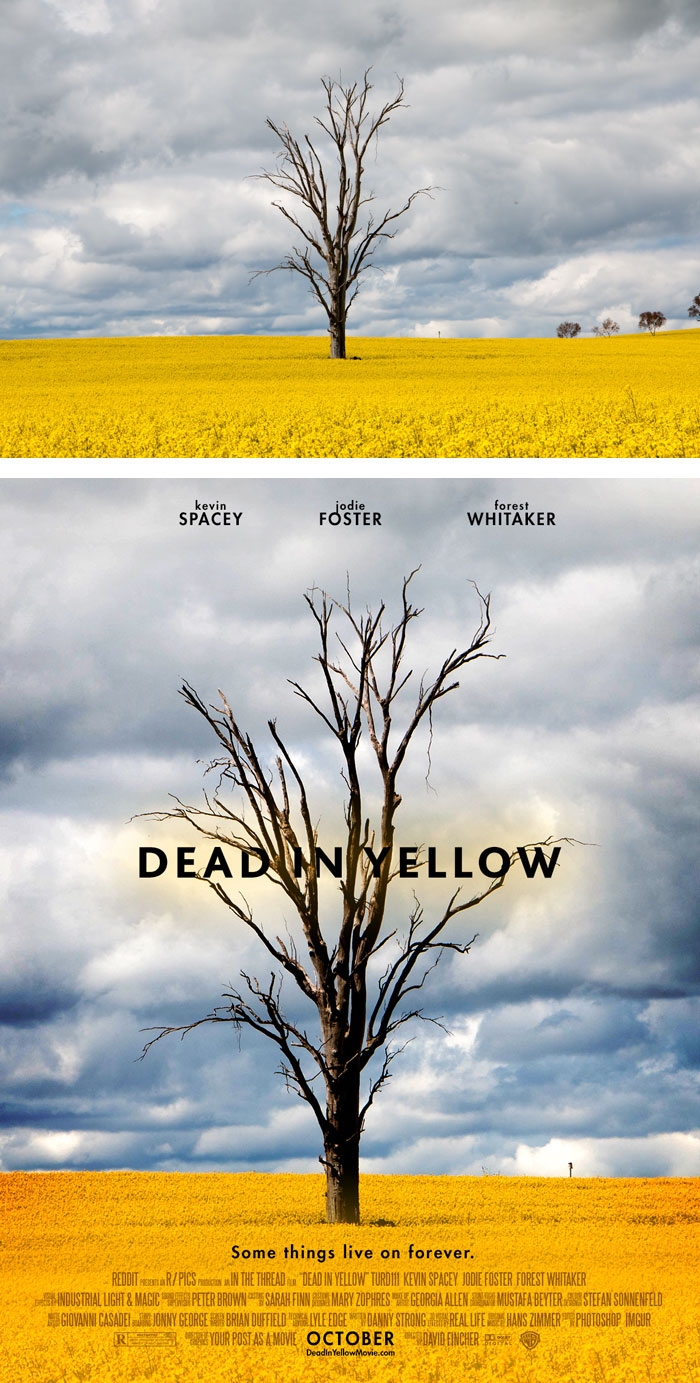 random-photos-turned-professional-movie-posters-your-post-as-a-movie-13