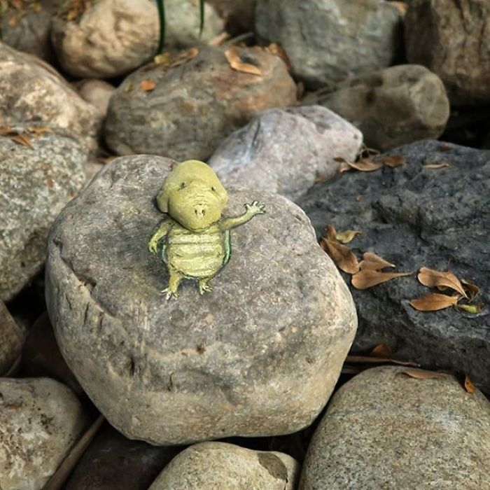 adorable-chalk-drawn-creatures-sidewalk-david-zinn-3
