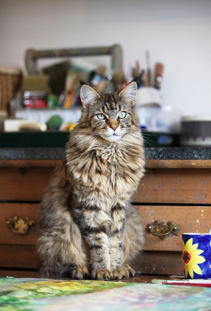 autistic-artist-painting-iris-grace-therapy-cat-thula-24