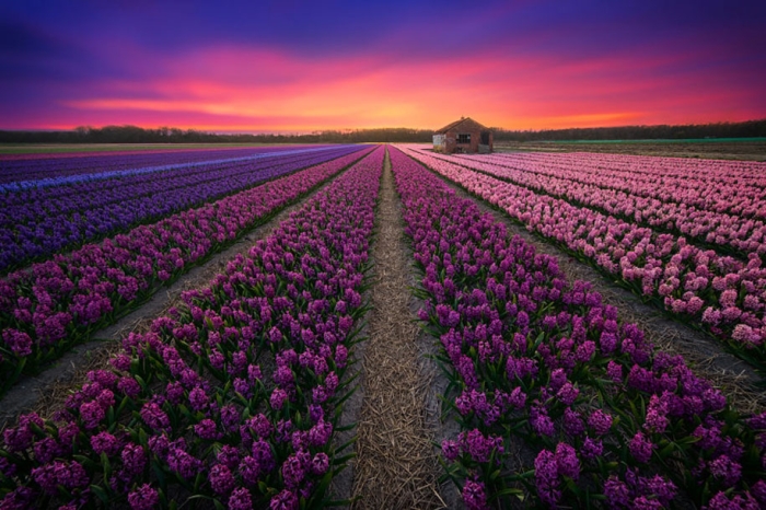-amazing-netherland-photgraphy-albert-dros-14