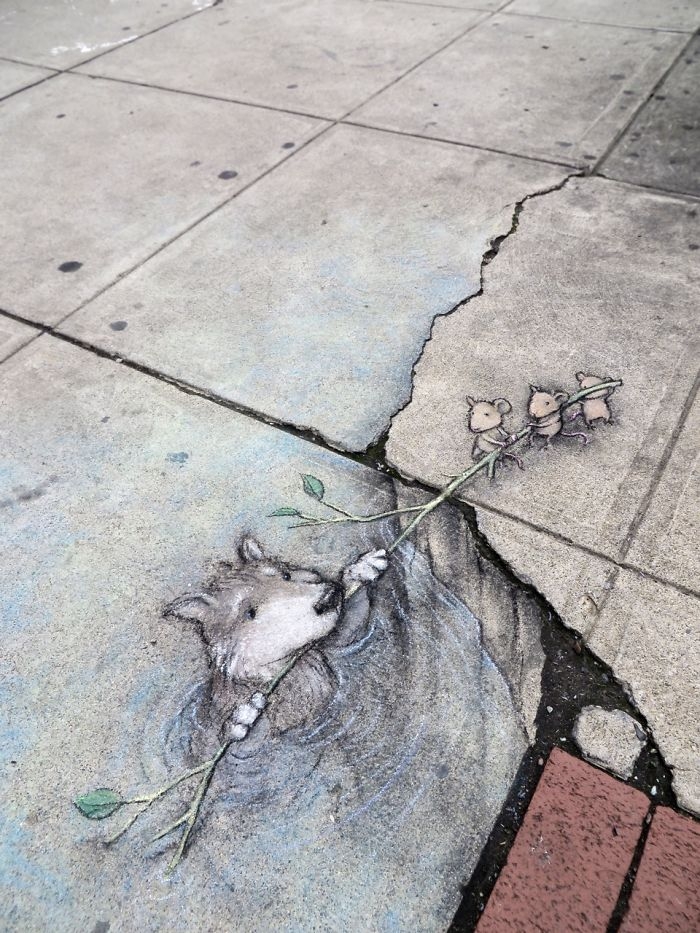 adorable-chalk-drawn-creatures-sidewalk-david-zinn-11