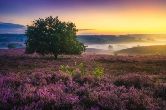 -amazing-netherland-photgraphy-albert-dros-6
