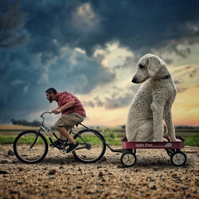 dog-giant-roams-streets-photoshop-juji-christopher-cline-20