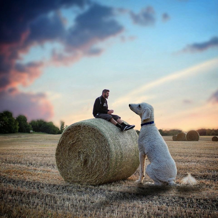 dog-giant-roams-streets-photoshop-juji-christopher-cline-25