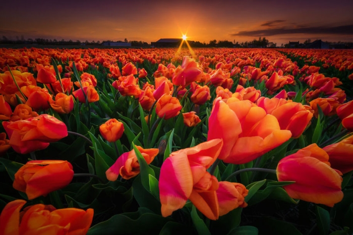 -amazing-netherland-photgraphy-albert-dros-12