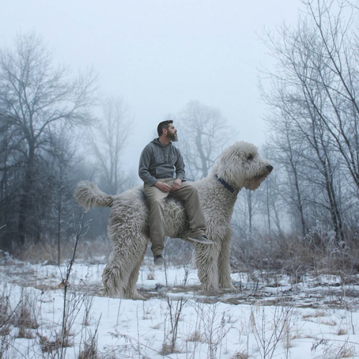 dog-giant-roams-streets-photoshop-juji-christopher-cline-28