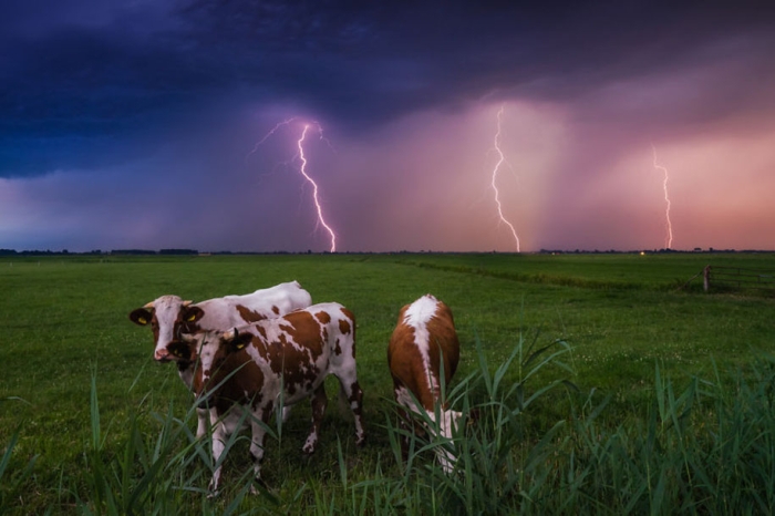 -amazing-netherland-photgraphy-albert-dros-8
