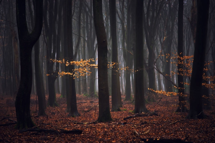 -amazing-netherland-photgraphy-albert-dros-16