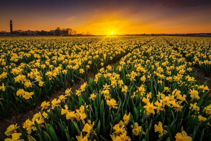 -amazing-netherland-photgraphy-albert-dros-13