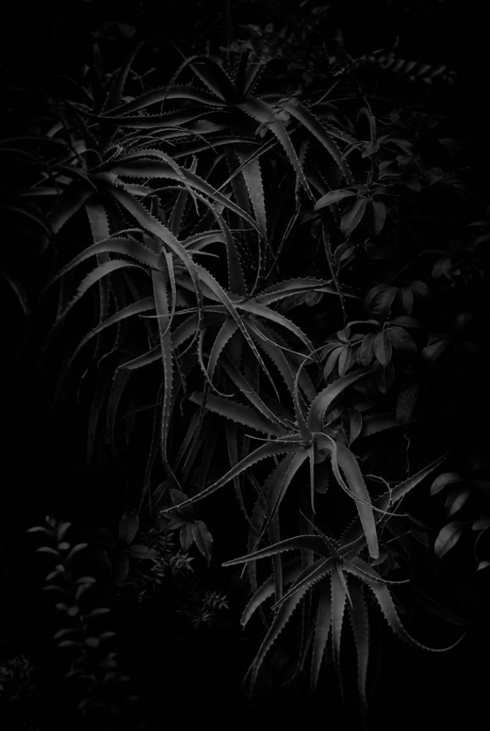 Naked Garden 5