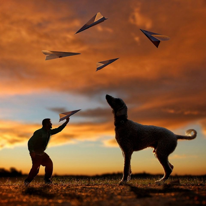 dog-giant-roams-streets-photoshop-juji-christopher-cline-31