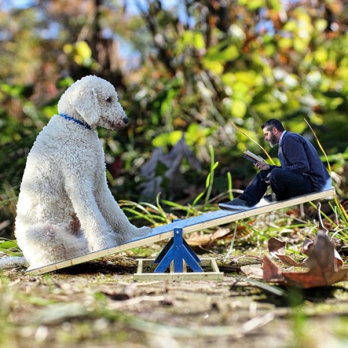 dog-giant-roams-streets-photoshop-juji-christopher-cline-13