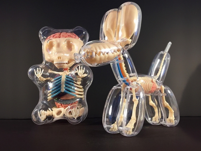 anatomical-balloon-animals-jason-freeny-6