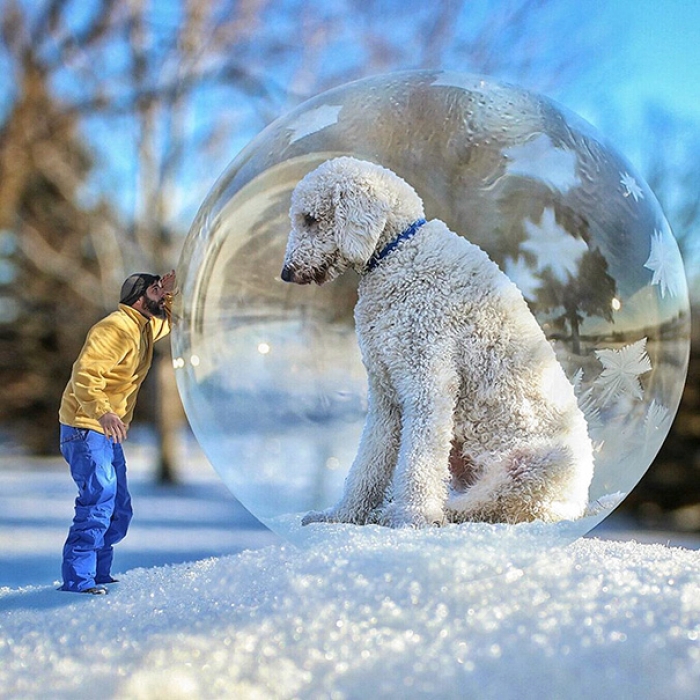 dog-giant-roams-streets-photoshop-juji-christopher-cline-1