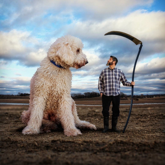 dog-giant-roams-streets-photoshop-juji-christopher-cline-17