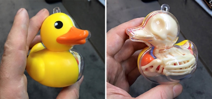 anatomical-balloon-animals-jason-freeny-2
