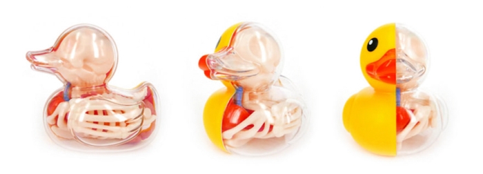 anatomical-balloon-animals-jason-freeny-1