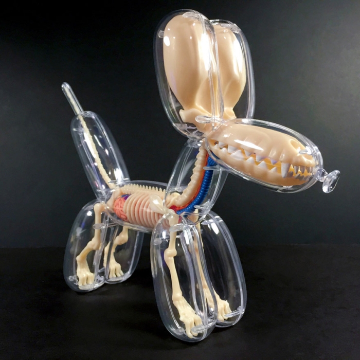 anatomical-balloon-animals-jason-freeny-7