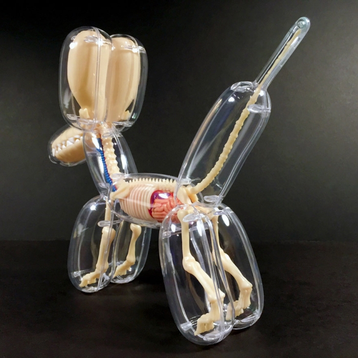 anatomical-balloon-animals-jason-freeny-8