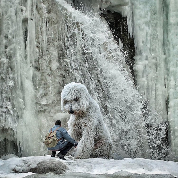 dog-giant-roams-streets-photoshop-juji-christopher-cline-18