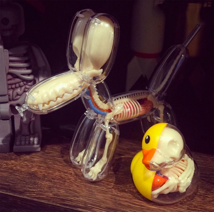 anatomical-balloon-animals-jason-freeny-3