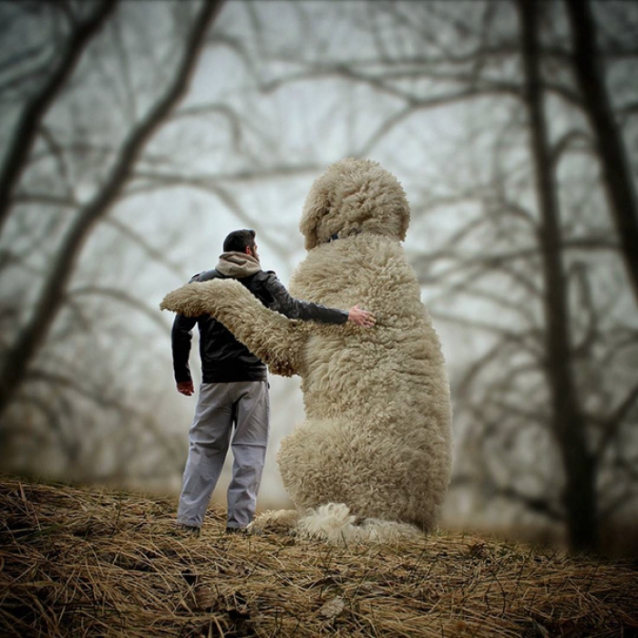 dog-giant-roams-streets-photoshop-juji-christopher-cline-2