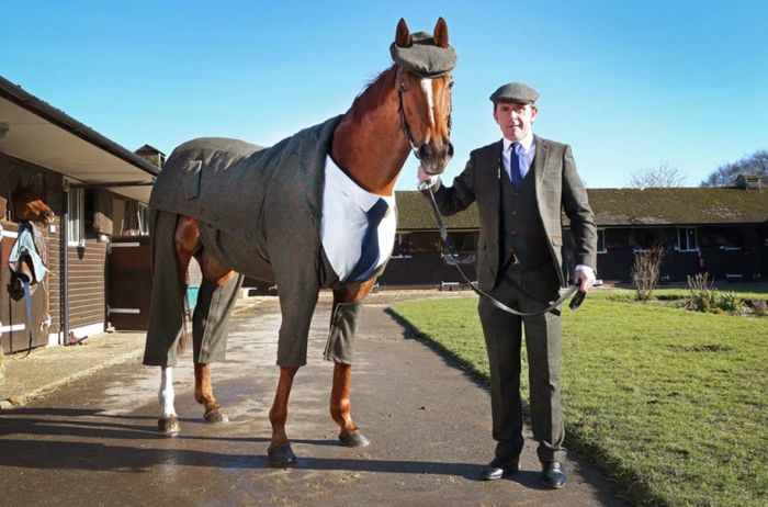 three-piece-suit-for-classy-horse-emma-sandham-king-1