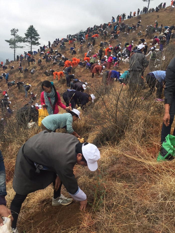 birth-new-prince-celebrated-planting-thousands-trees-bhutan-4