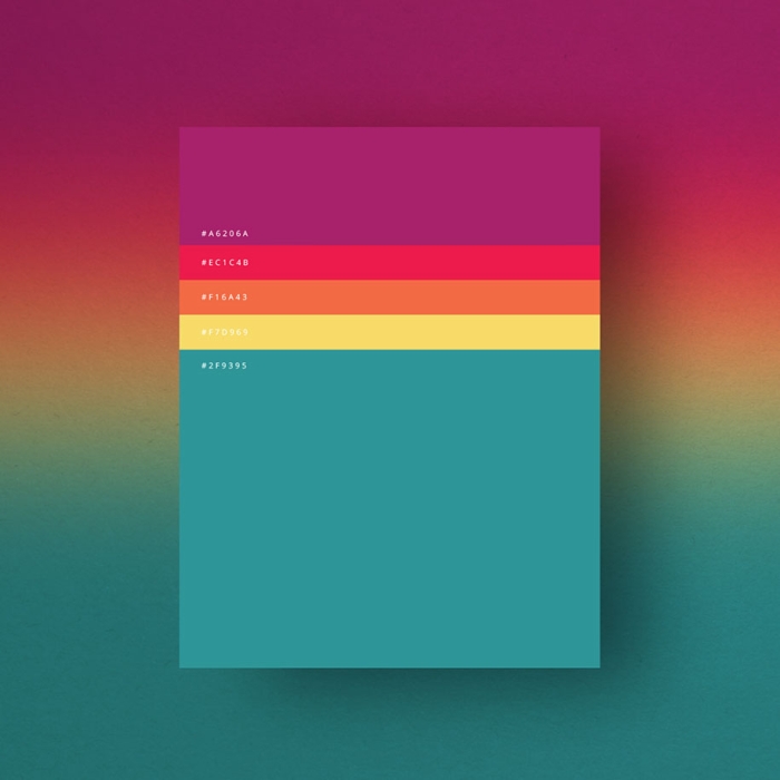 most-popular-color-palettes-of-2015-dumma-branding-7