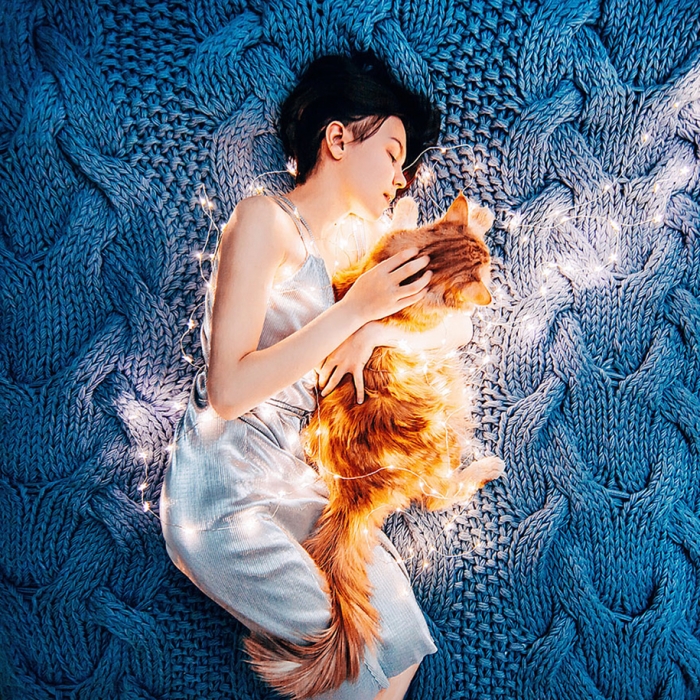 professional-cat-photography-kotleta-cutlet-kristina-makeeva-hobopeeba-1