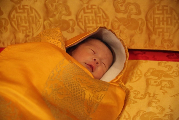 birth-new-prince-celebrated-planting-thousands-trees-bhutan-6