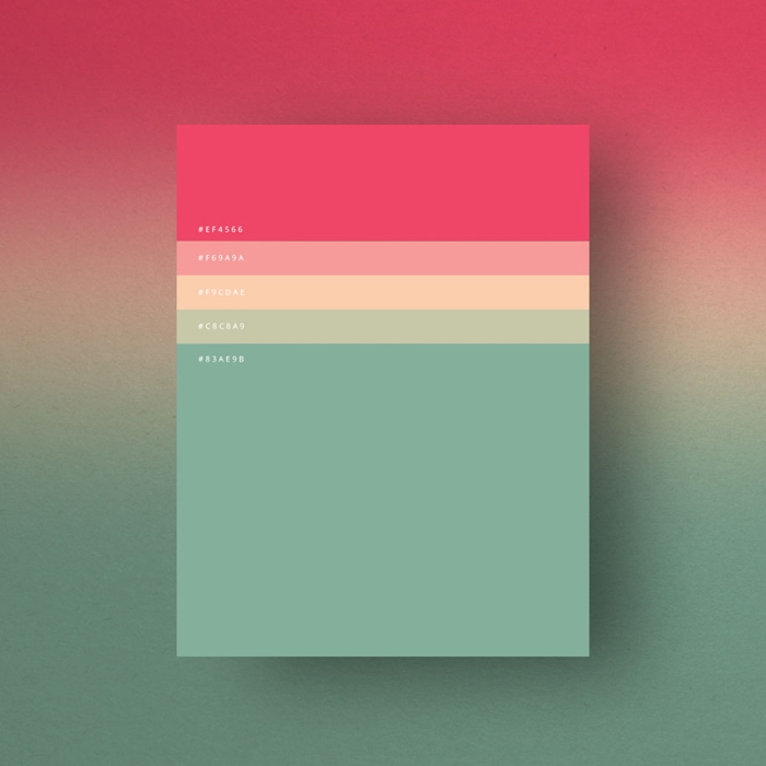 most-popular-color-palettes-of-2015-dumma-branding-8