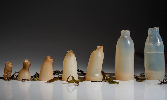 biodegradable-algae-plastic-replacement--ari-jonsson-4