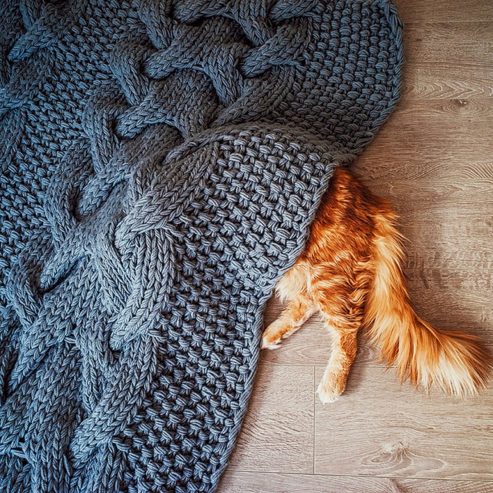 professional-cat-photography-kotleta-cutlet-kristina-makeeva-hobopeeba-13