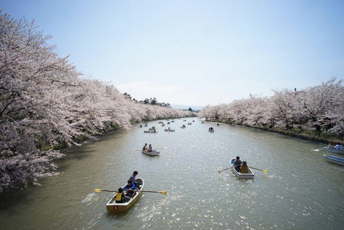 spring-colors-japan-cherry-blossoms-national-geographic-5