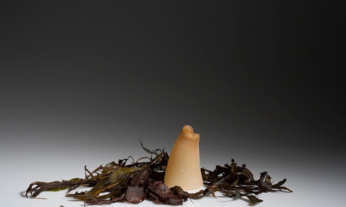 biodegradable-algae-plastic-replacement--ari-jonsson-2