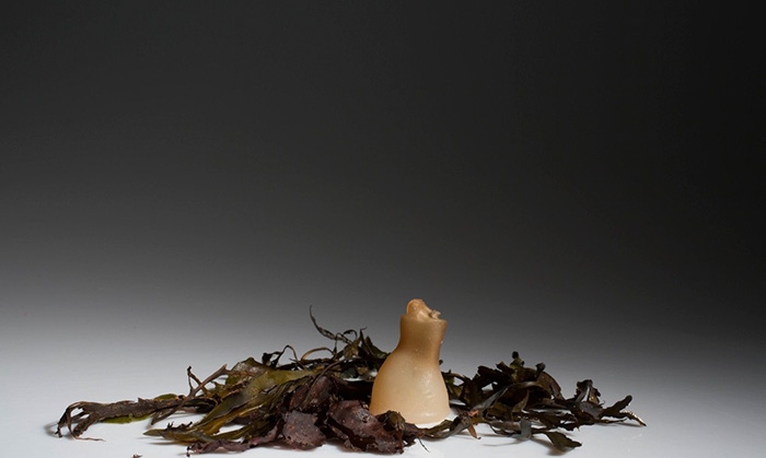biodegradable-algae-plastic-replacement--ari-jonsson-8