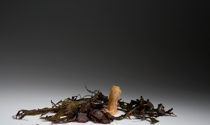 biodegradable-algae-plastic-replacement--ari-jonsson-1
