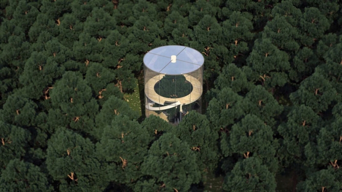 tree-in-glass-house-aibek-almassov-masow-architects-6